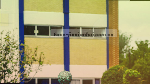 反馈即准备 洞察先于行动